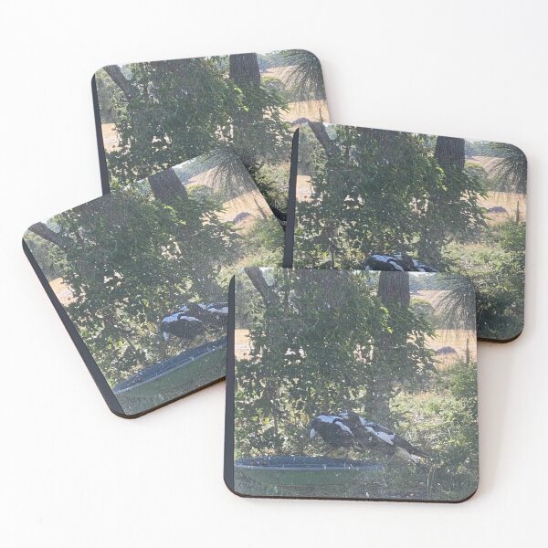 Item preview, magpies looking for water on a scorching day designed and sold by ChitteringArt.