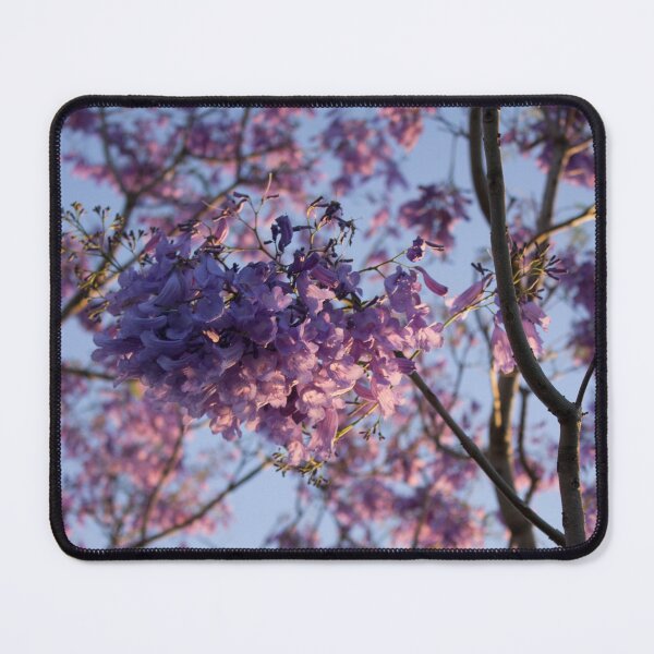 Item preview, Jacaranda Flowering designed and sold by tammymicheleart.