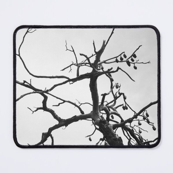 Item preview, Bats in Bendigo designed and sold by tammymicheleart.