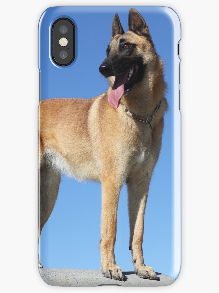 coque iphone 5 malinois coque iphone 5 malinois