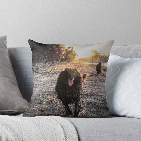 Item preview, 2015 Groenendaels at lakeside designed and sold by Belgian Shepherd Dog Club of QLD Inc.