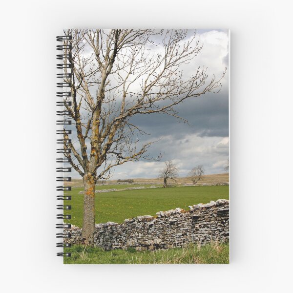 Item preview, Pennine Rural Landscape designed and sold by jwwallace.