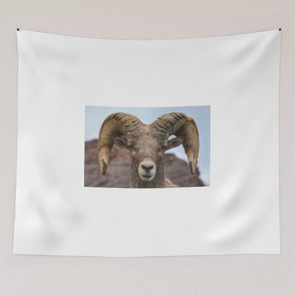 Item preview, Bighorn ram headshot designed and sold by Scott Collins.