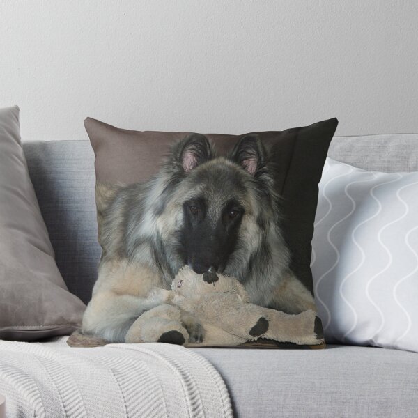 Item preview, 2015 Tervueren with Teddy toy designed and sold by Belgian Shepherd Dog Club of QLD Inc.