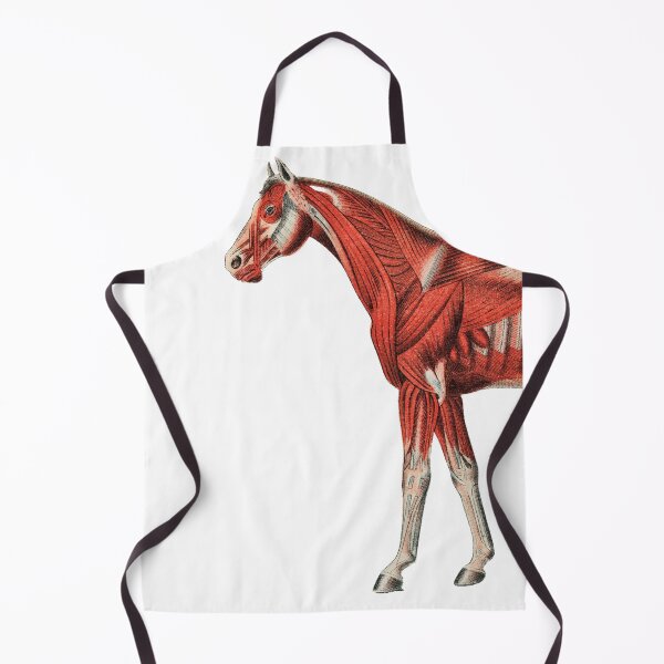 Item preview, Horse Muscle System Vintage Illustration designed and sold by Happy-Trails.