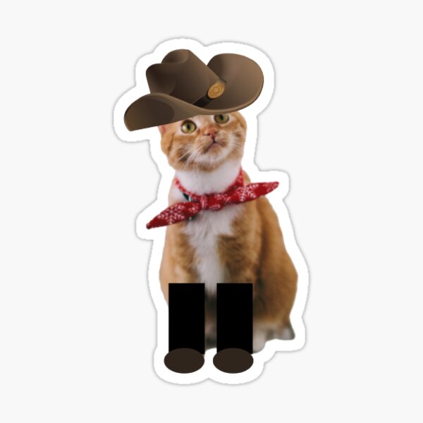 Cowboy Cats T-Shirt, 4 Cute Country Kitties in Cowboy Boots, Small