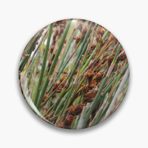Item preview, African Grass designed and sold by Honey Myrtle Studio.
