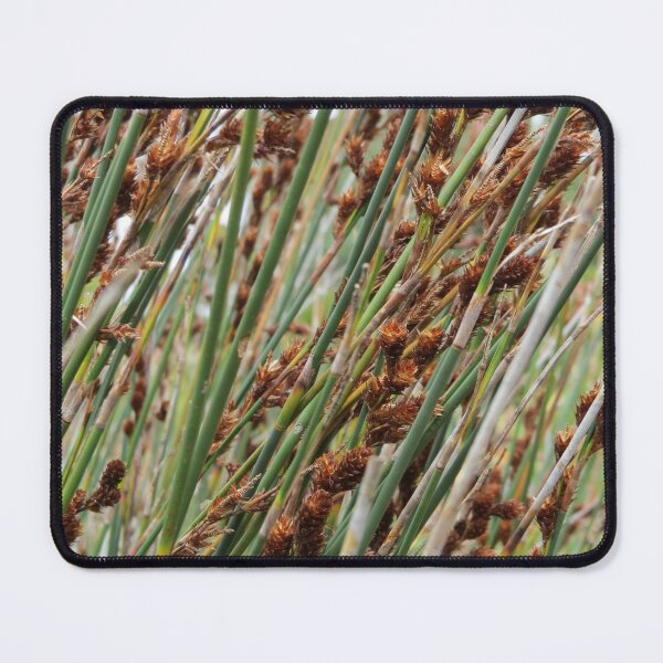 Item preview, African Grass designed and sold by Honey Myrtle Studio.
