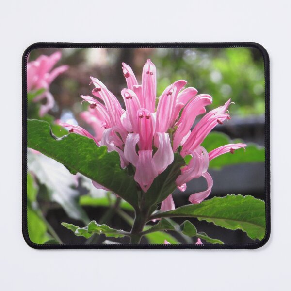 Item preview, Romantic Pink Flower designed and sold by Honey Myrtle Studio.