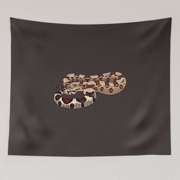 Item preview, Red-tailed Boa or Boa Constrictor Constrictor - BCC II designed and sold by anacecilia.