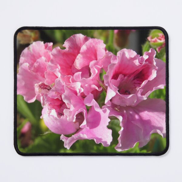 Item preview, Pretty Pink Pelargonium designed and sold by Honey Myrtle Studio.
