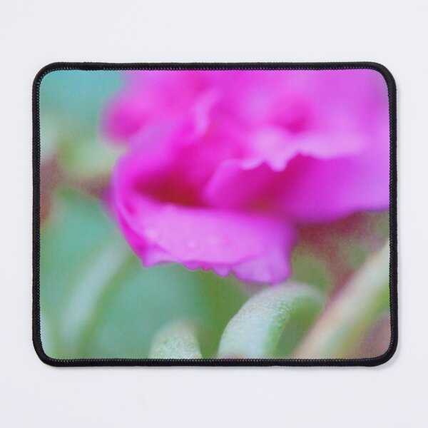 Item preview, photo effect  designed and sold by Jodie Cooper.