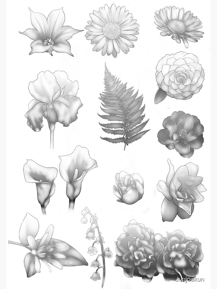 "Black and White Garden" Poster for Sale by Junjoukun Redbubble