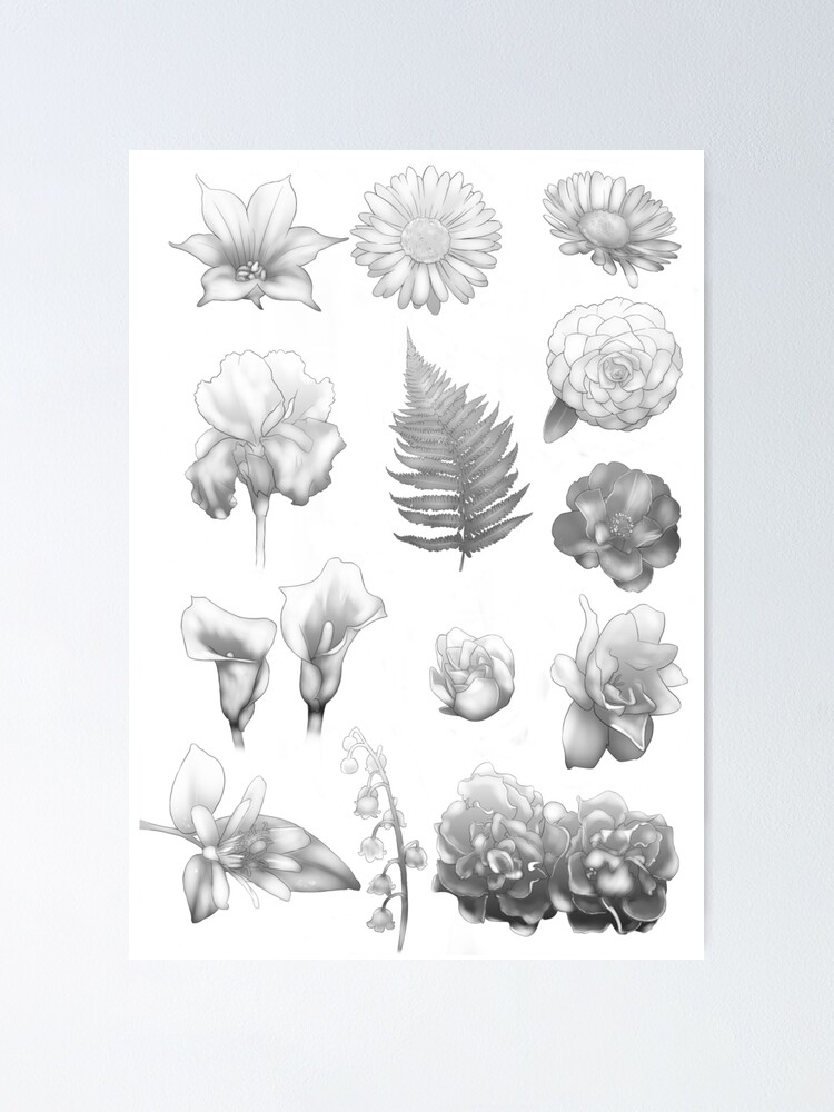 "Black and White Garden" Poster for Sale by Junjoukun Redbubble