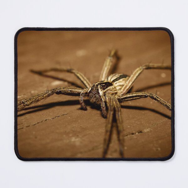 Item preview, The ambulance hunter | Pisaura mirabilis designed and sold by BBPGallery.