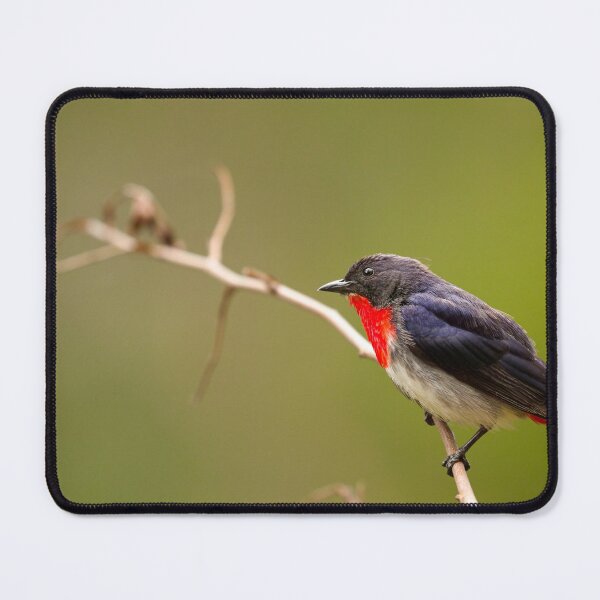 Item preview, The Mistletoe Bird designed and sold by CBoyle.