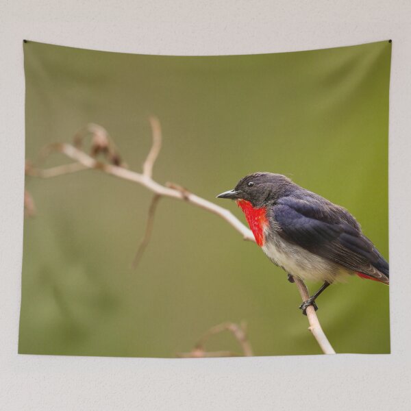 Item preview, The Mistletoe Bird designed and sold by CBoyle.