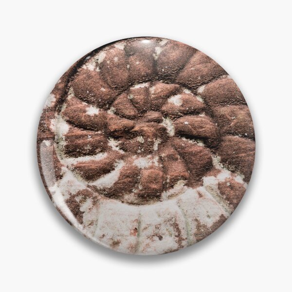 Item preview, Ammonite fossil designed and sold by BBPGallery.