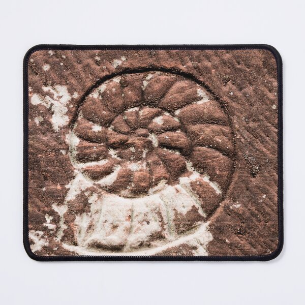 Item preview, Ammonite fossil designed and sold by BBPGallery.