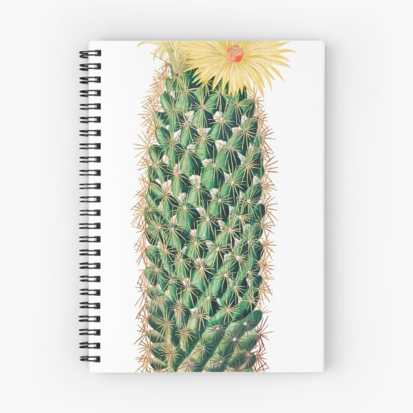 Item preview, Wild Cactus has Beauty on Top designed and sold by fayrooq.