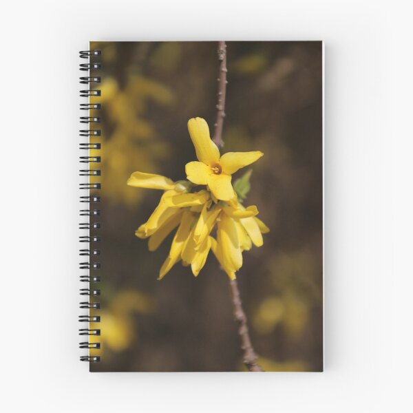 Aperçu de l'œuvre Forsythia ensoleillé créée et vendue par Joan van der Wereld.