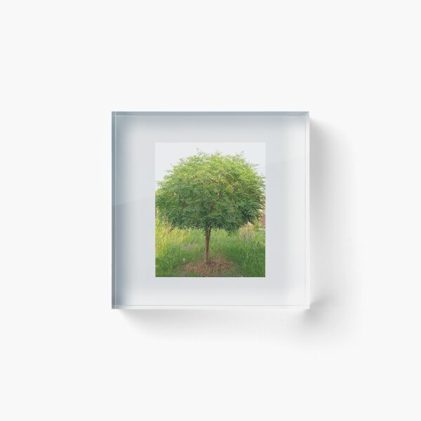 Item preview, Greeny designed and sold by Designtothepoint.