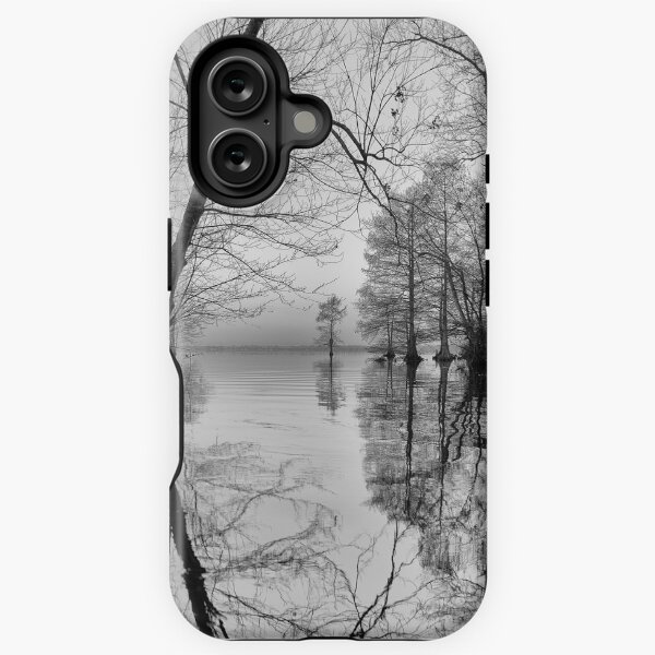 Item preview, Winter gateway at the Dismal Swamp designed and sold by Bruce Bischoff.