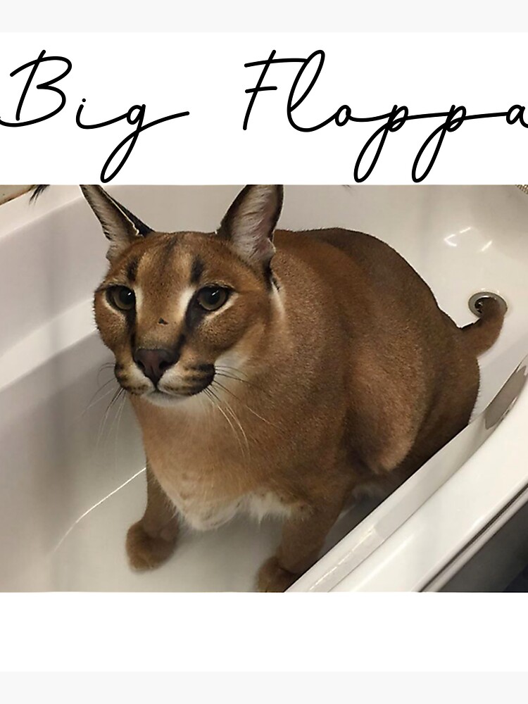 Quem é esse Gato Gigante? Meme Big Floppa 