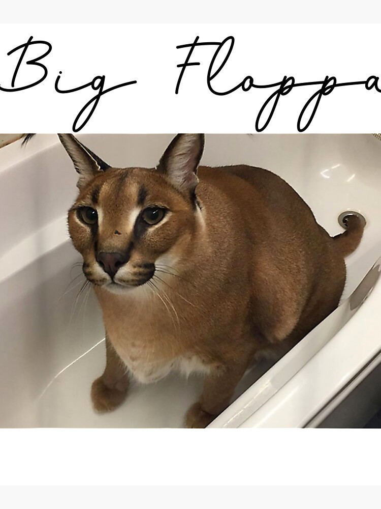 big floppa meme cat Sticker for Sale by LGBTHUMAN