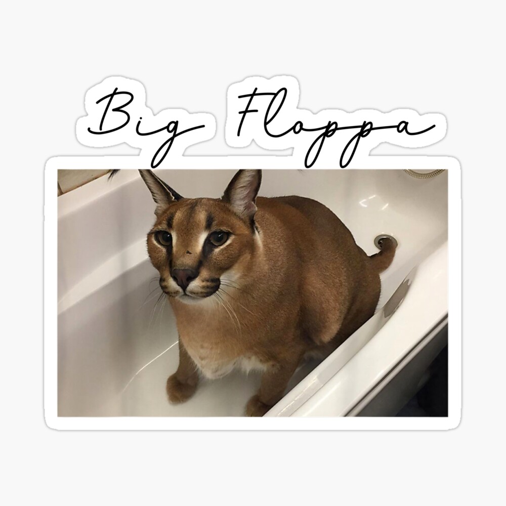 big floppa meme cat Sticker for Sale by LGBTHUMAN