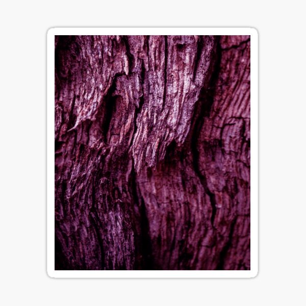 "Digital art" Sticker for Sale by Collection1123 | Redbubble