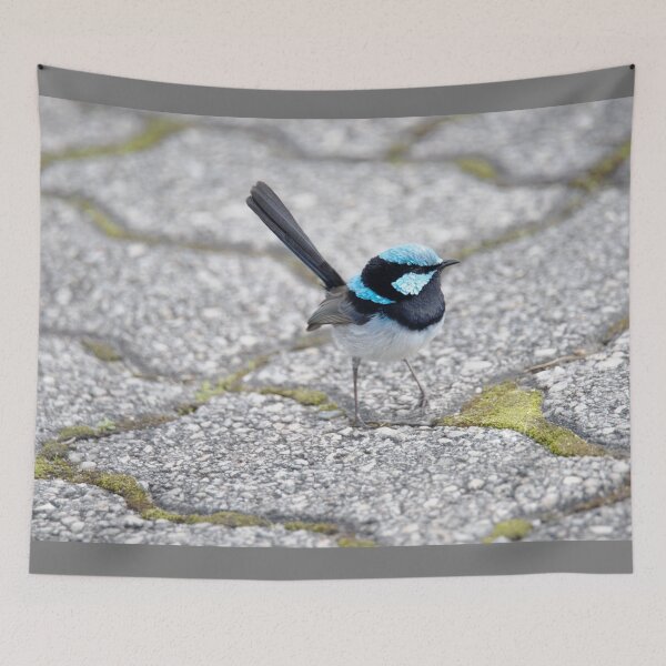 Item preview, Little Blue Fairywren on the Pavement designed and sold by imaginethis.