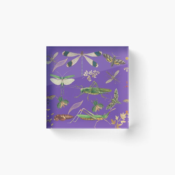 Item preview, Vintage Bugs And Insects Illustrations designed and sold by ManifestoDesign.