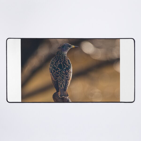 Item preview, Starling designed and sold by Jinxyboy1908.