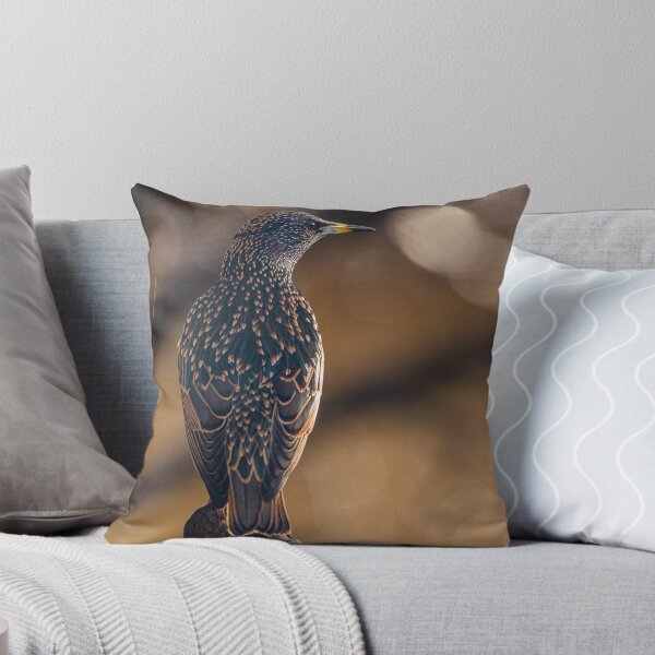 Item preview, Starling designed and sold by Jinxyboy1908.