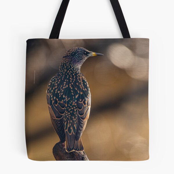 Item preview, Starling designed and sold by Jinxyboy1908.