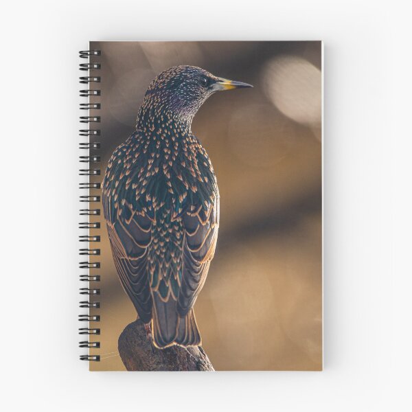 Item preview, Starling designed and sold by Jinxyboy1908.