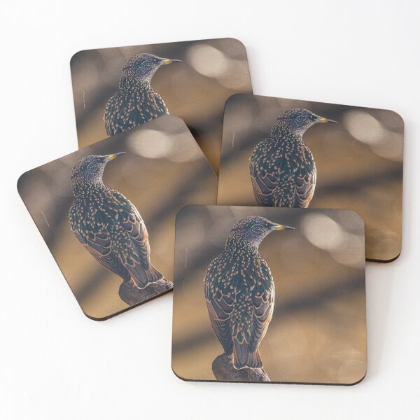 Item preview, Starling designed and sold by Jinxyboy1908.
