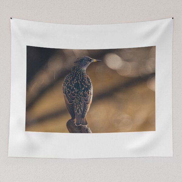 Item preview, Starling designed and sold by Jinxyboy1908.