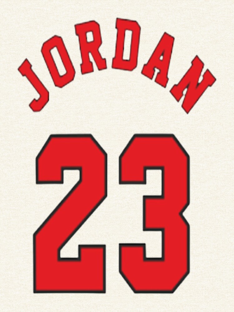 Michael Air Jordan 23 Chicago Bulls Hoodie, L