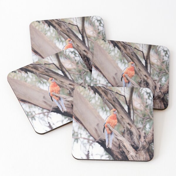 Item preview, Bright and Beautiful - Platycercus elegans adelaidae - Adelaide Rosella designed and sold by imaginethis.