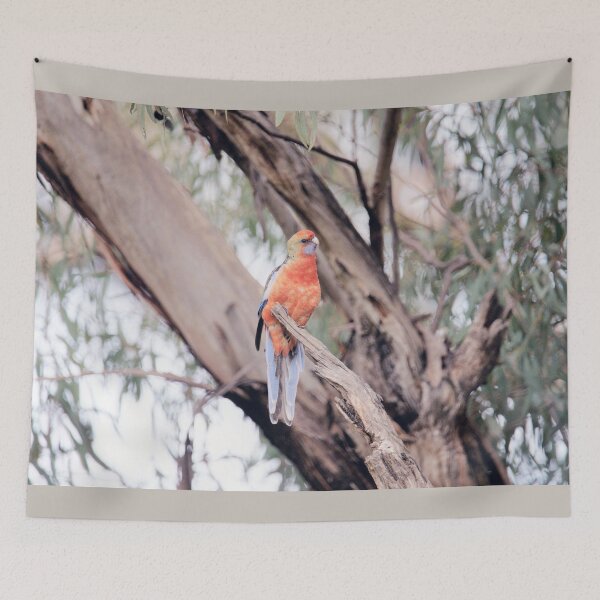 Item preview, Bright and Beautiful - Platycercus elegans adelaidae - Adelaide Rosella designed and sold by imaginethis.