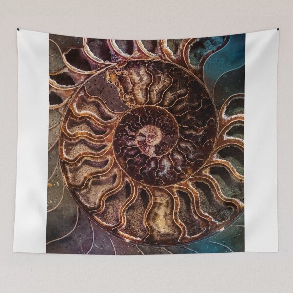 Item preview, An Ancient Shell designed and sold by JBlaminsky.