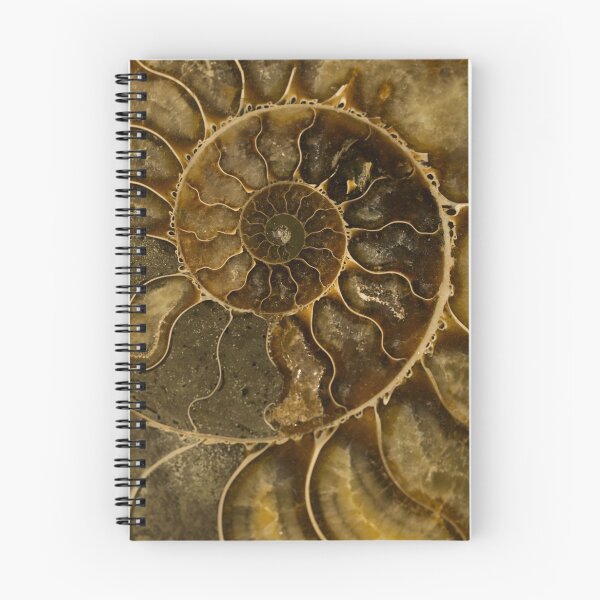 Item preview, An Ancient Treasure  designed and sold by JBlaminsky.