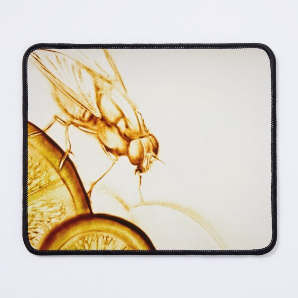 Item preview, Fruit Fly designed and sold by sandexperiment.