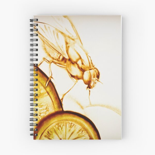 Item preview, Fruit Fly designed and sold by sandexperiment.