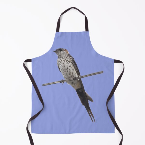 Item preview, Bird On A Wire Red-Rumped Swallow Vector Art designed and sold by taiche.