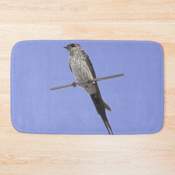 Item preview, Bird On A Wire Red-Rumped Swallow Vector Art designed and sold by taiche.