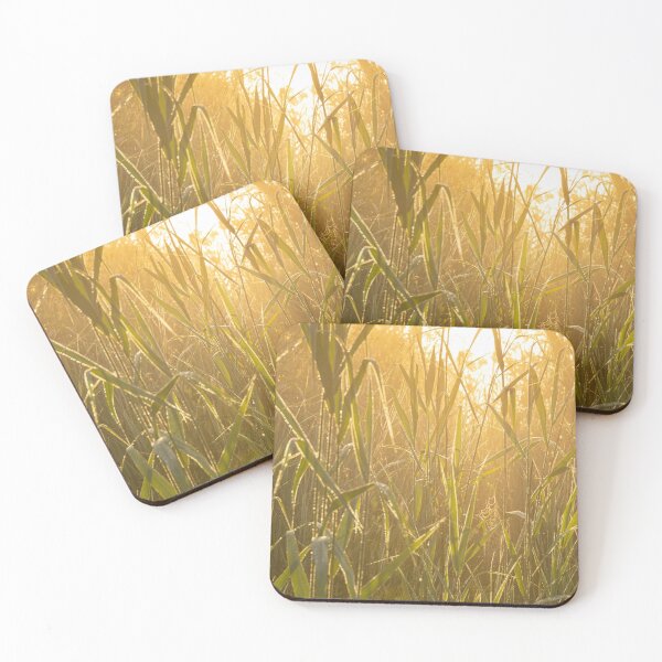Item preview, Glowing Reed designed and sold by KoenBoelrijk.