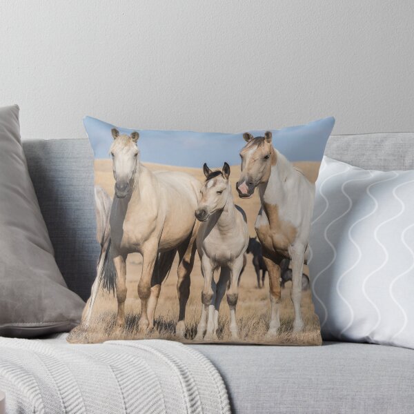 Item preview, Pinto Siblings designed and sold by Kelly Jay.